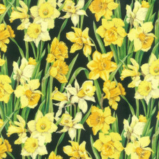 Daffodils 89420-2